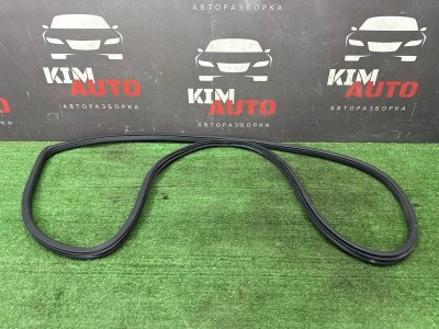 Уплотнитель проема двери Nissan Murano 2008 Z51