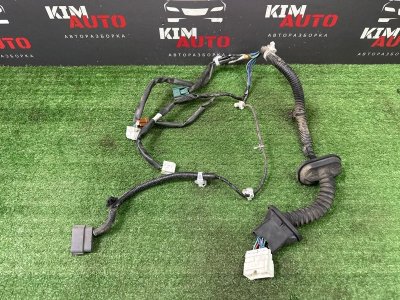 Проводка двери Nissan Murano 2008 Z51