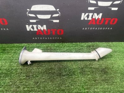 Горловина бачка стеклоомывателя Nissan Murano 2008 Z51