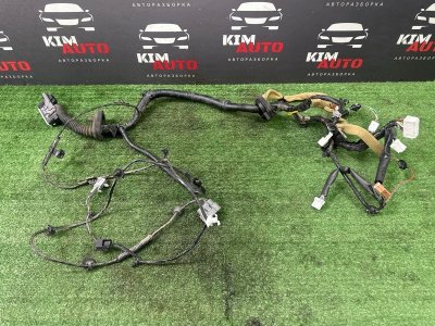 Проводка двери Nissan Murano 2008 Z51