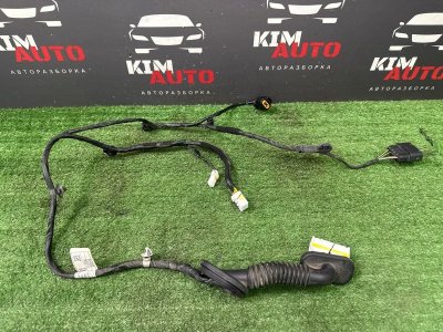Проводка двери Hyundai Creta 2018 GS