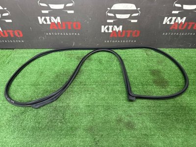 Уплотнитель двери Kia Rio X 2020