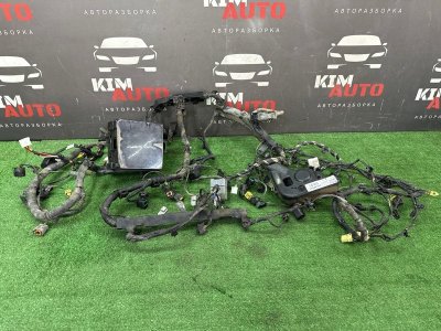 Проводка моторного отсека с блоком предохранителей Kia Cerato 2 2010 TD