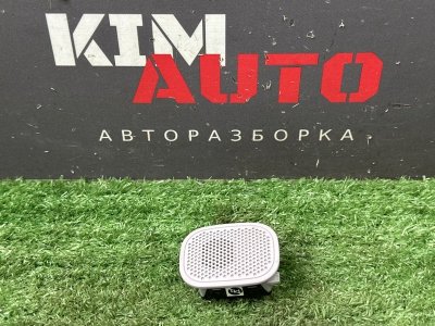 Микрофон Kia Rio X-Line 2020