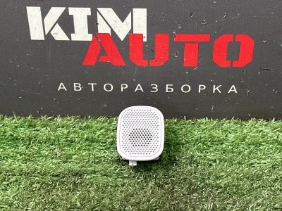 Микрофон Kia Rio 4 2019 FB