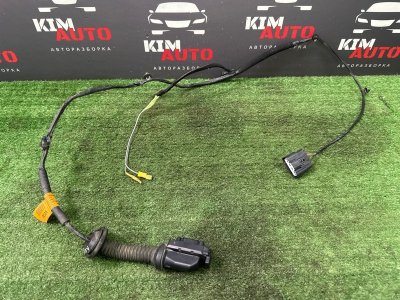 Проводка двери Kia Rio 4 2019 FB