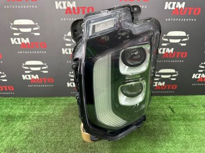 Фара Hyundai Palisade LX2