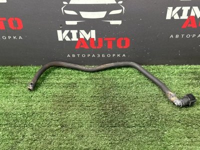 Шланг адсорбера Kia Rio 4 2019 FB