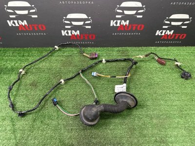 Проводка двери Peugeot 206 3E