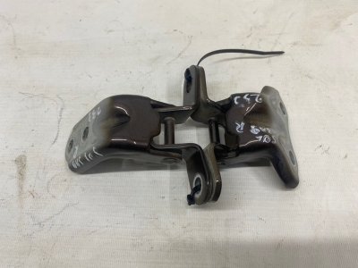 Петля двери Hyundai Solaris 2015