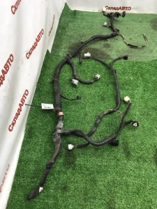 Проводка фары Toyota Estima 2008 ACR50W