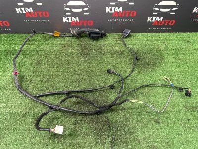 Проводка двери Kia Rio 4 2019 FB