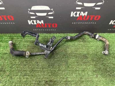 Трубка вакуумного усилителя тормозов Kia Rio 4 2019 FB