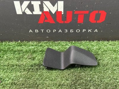 Заглушка двери Hyundai Solaris 2 2021 HCR