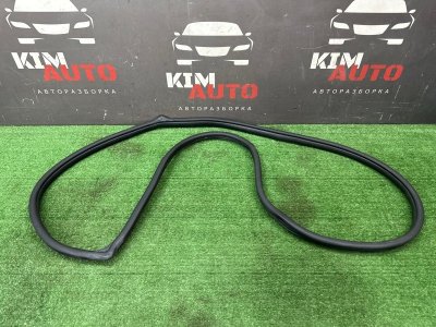 Уплотнитель проема двери Kia Rio X-Line 2020