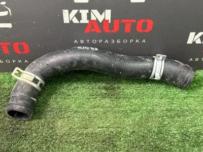 Патрубок радиатора верхний Kia Rio 4 2019 FB