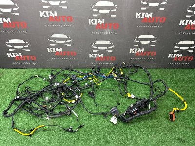 Проводка салона Kia Rio 4 2018