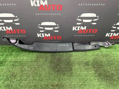 Пыльник крыла Kia Rio 4 2018