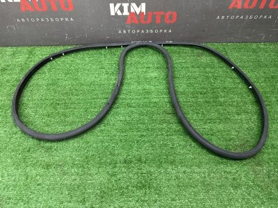 Уплотнитель двери Opel Insignia