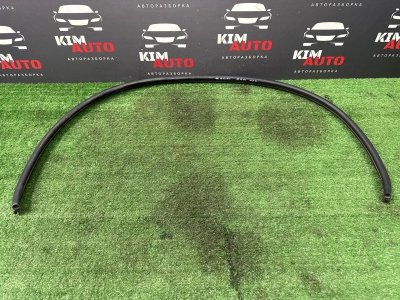 Уплотнитель жабо Kia Rio 4 2018