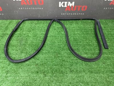 Уплотнитель двери Kia Rio 4 2018