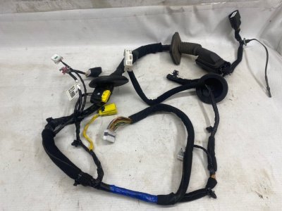 Проводка двери Kia Optima 2019 JF