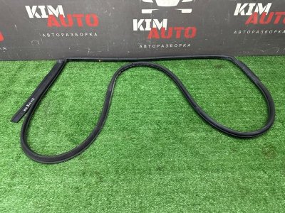 Уплотнитель двери Kia Rio 4 2018