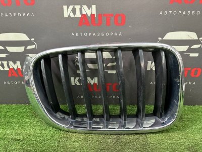 Решетка радиатора BMW X3 F25