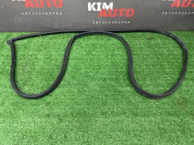 Уплотнитель двери Kia Rio 4 2018