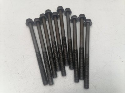 Комплект болтов ГБЦ Ford Focus 2