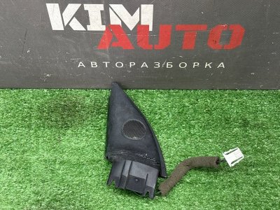 Твиттер зеркала Volkswagen Passat B5