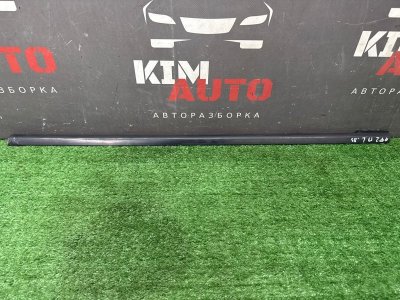 Уплотнитель стекла наружный (Бархотка) Ford Focus 2