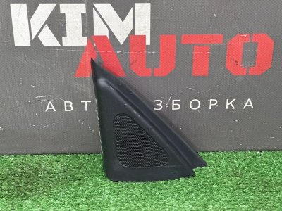 Твиттер зеркала Hyundai Elantra 4 HD