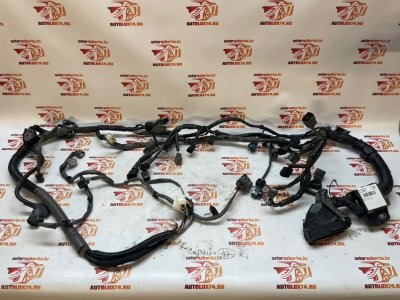 Проводка двигателя Mazda CX-9 2018 TC