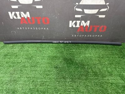 Молдинг двери Skoda Fabia 1