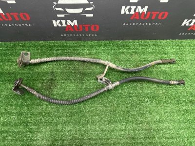 Шланг тормозной Hyundai Elantra 6 2017 AD
