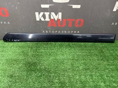 Молдинг двери Opel Zafira