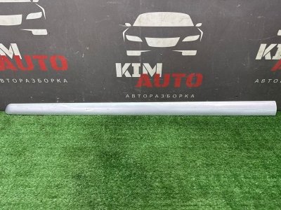 Молдинг двери Peugeot 307