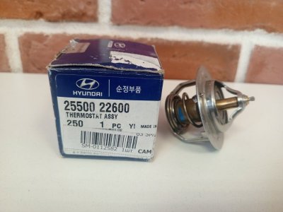 Термостат Hyundai Accent GETZ