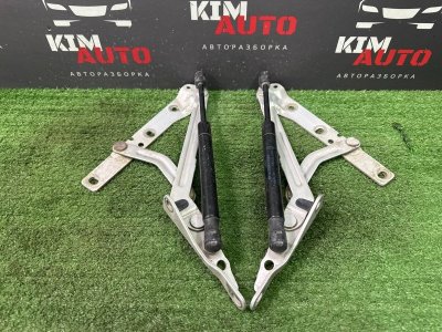 Петли крышки багажника Ford Focus