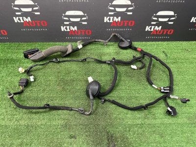 Проводка двери Kia Cerato 4 2021 BD