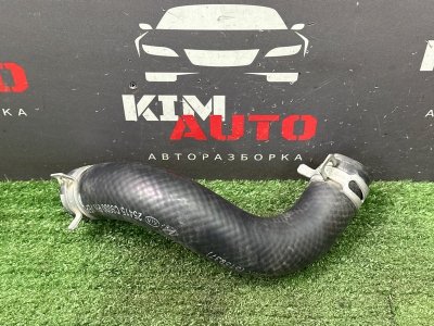 Патрубок радиатора нижний Hyundai Creta 2021 GS