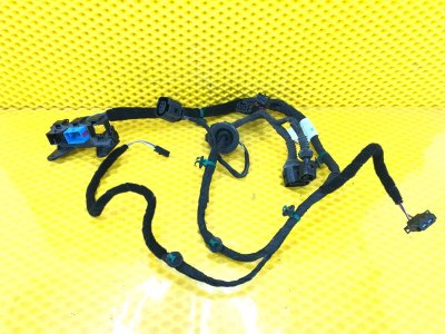 Проводка двери Volkswagen Phaeton 2005 3D2