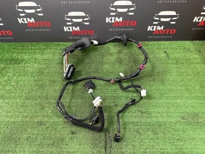 Проводка двери Hyundai Creta 2021 GS