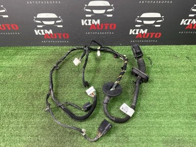 Проводка двери Hyundai Creta 2017 GS