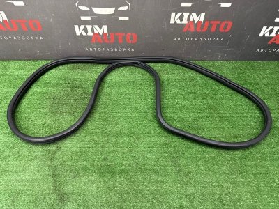 Уплотнитель проема двери Kia Cerato 4 2021 BD