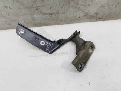 Петля капота Citroen C4 2008