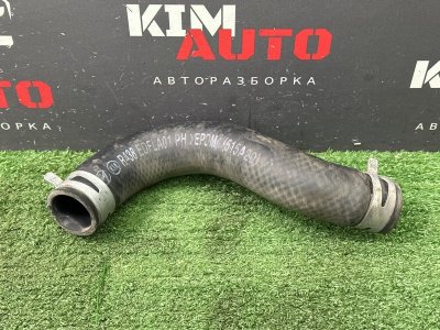 Патрубок радиатора верхний Kia Cerato 4 2021 BD