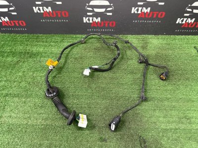 Проводка двери Hyundai Creta 2017 GS