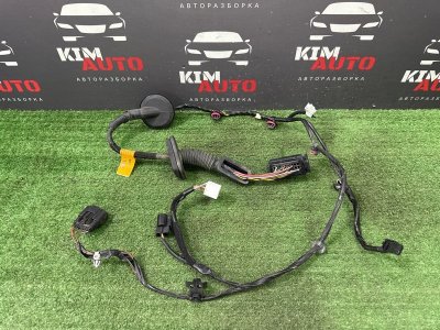 Проводка двери Hyundai Creta 2017 GS